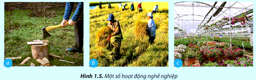 [SÁCH MỚI] Soạn Công nghệ 7 Bài 1: Nghề trồng trọt ở Việt Nam - Chân trời sáng tạo