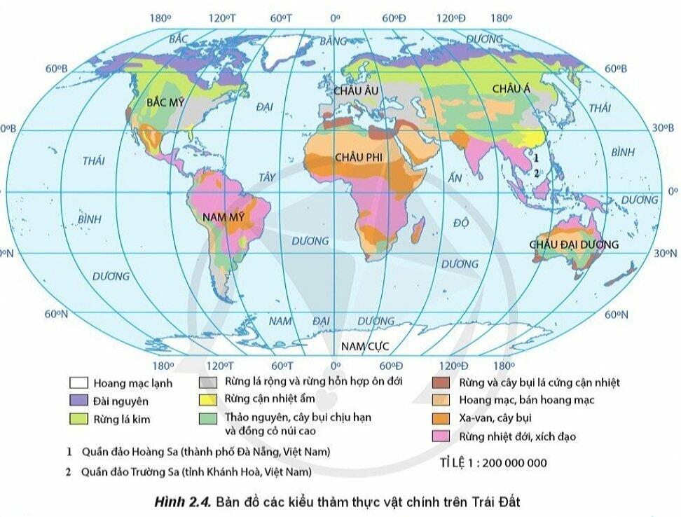 Soạn Địa 10 Bài 13: Thực hành: Phân tích bản đồ, sơ đồ và phân bố của đất, sinh vật trên thế giới - Cánh Diều