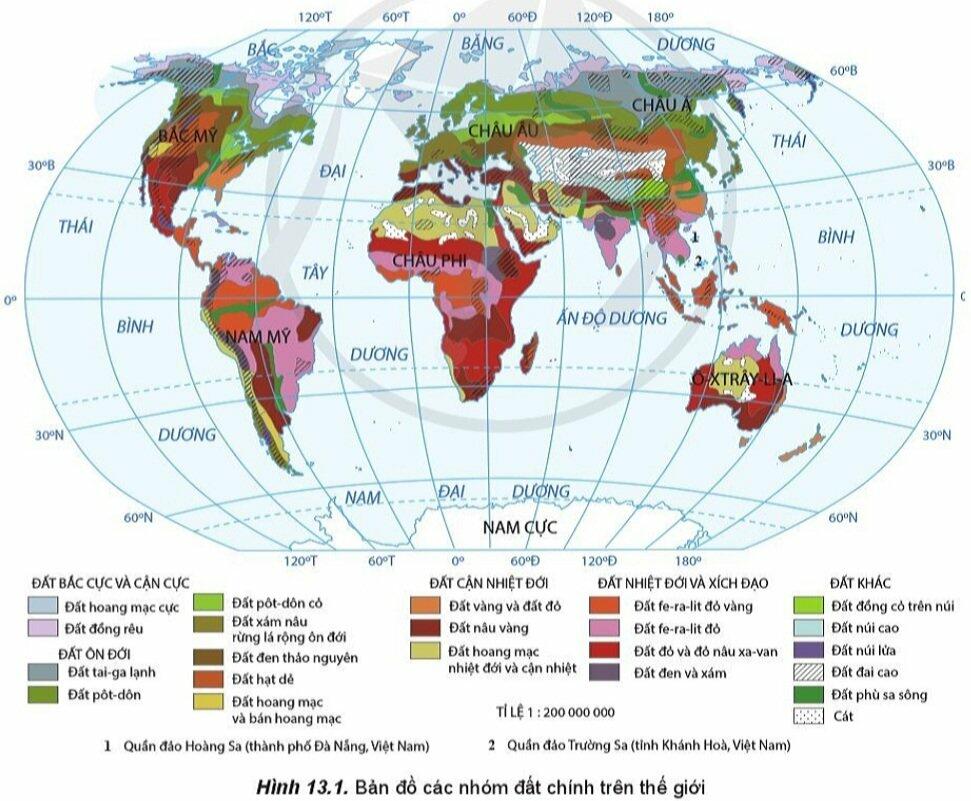 Soạn Địa 10 Bài 13: Thực hành: Phân tích bản đồ, sơ đồ và phân bố của đất, sinh vật trên thế giới - Cánh Diều (ảnh 2)