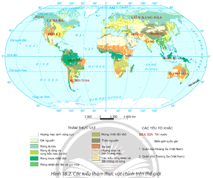 Soạn Địa 10 Bài 16: Thực hành phân tích sự phân bố của đất và sinh vật trên Trái Đất - Chân trời sáng tạo