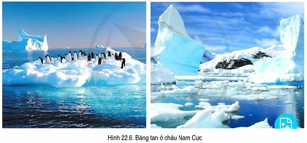 [Sách mới] Soạn Địa 7 Bài 22: Châu Nam Cực - Cánh Diều (ảnh 6)