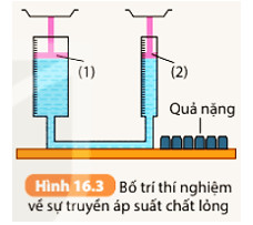 Soạn KHTN 8 Bài 16: Áp suất chất lỏng. Áp suất khí quyển 