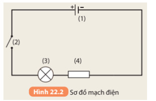 Soạn KHTN 8 Bài 22: Mạch điện đơn giản