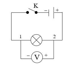 Soạn KHTN 8 Kết nối tri thức Bài 25: Thực hành đo cường độ dòng điện và hiệu điện thế