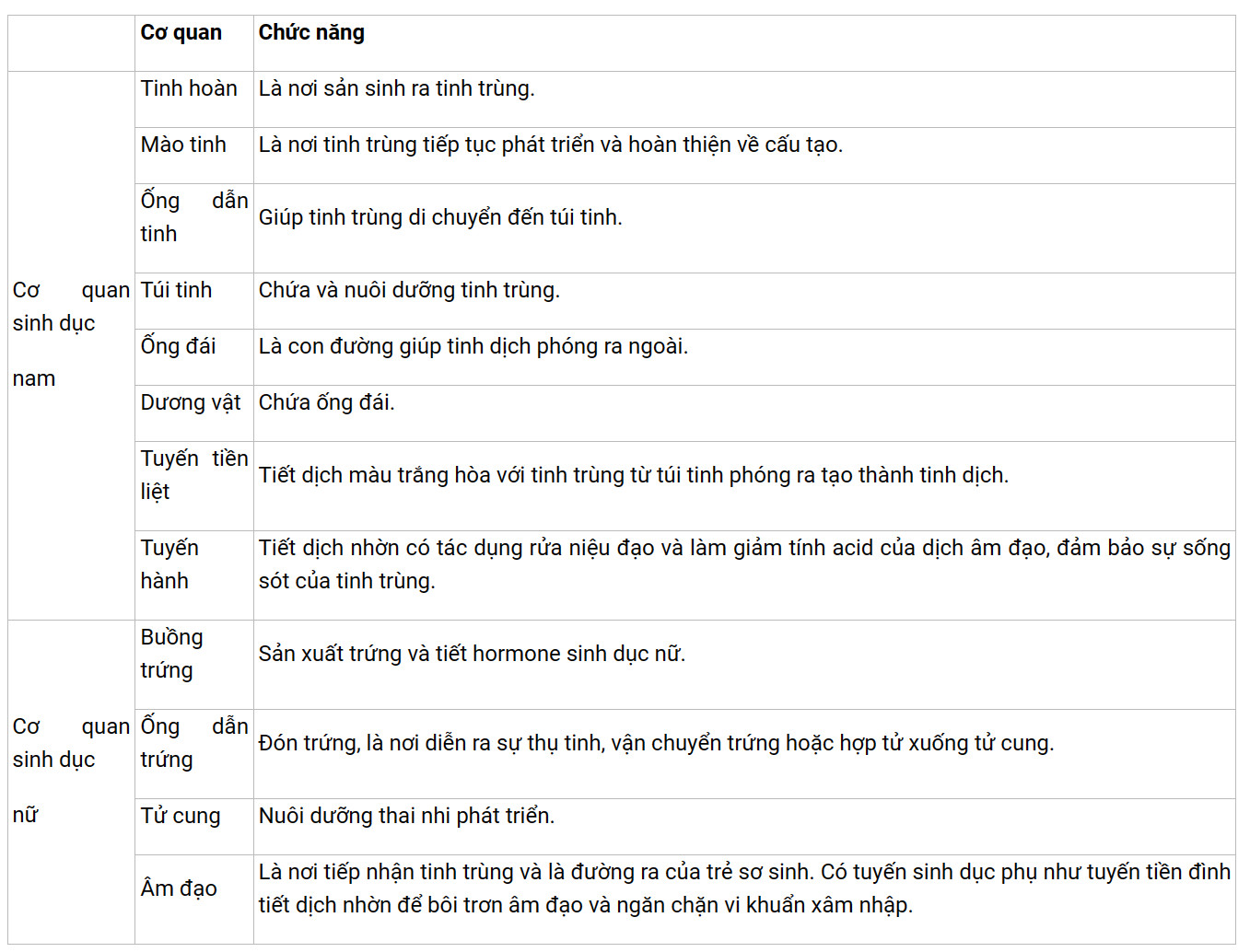 Soạn KHTN 8 Bài 40: Sinh sản ở người 