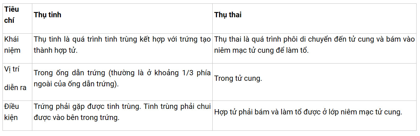 Soạn KHTN 8 Bài 40: Sinh sản ở người 