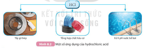 Soạn KHTN 8 Kết nối tri thức Bài 8: Acid
