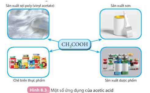 Soạn KHTN 8 Bài 8: Acid 