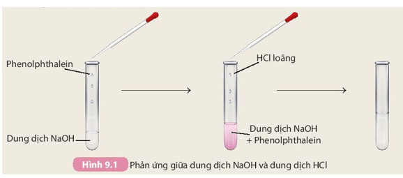 Soạn KHTN 8 Kết nối tri thức Bài 9: Base. Thang pH