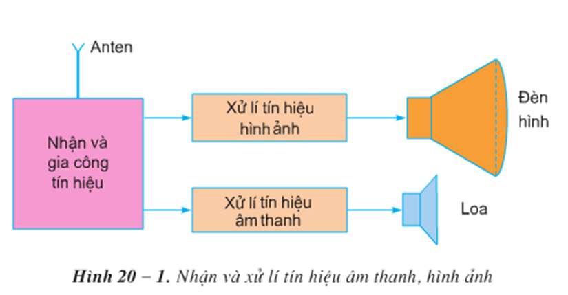 Sự giống và khác nhau giữa máy thu thanh và máy thu hình (ảnh 3)