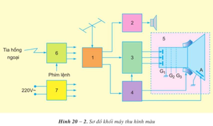 Sự giống và khác nhau giữa máy thu thanh và máy thu hình (ảnh 4)