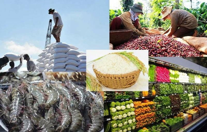 Sưu tầm thông tin về vai trò của ngành nông nghiệp đối với sự phát triển kinh tế - xã hội ở một quốc gia trên thế giới hoặc Việt Nam