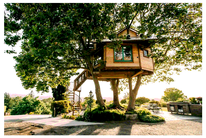 Tác giả - Tác phẩm: Ngôi nhà trên cây (Tóm tắt, nội dung, nghệ thuật, HCST, sơ đồ tư duy)