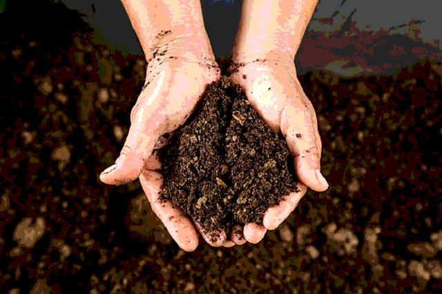 Tại sao chất hữu cơ chiếm tỉ lệ rất nhỏ trong đất nhưng lại có ý nghĩa quan trọng đối với cây trồng
