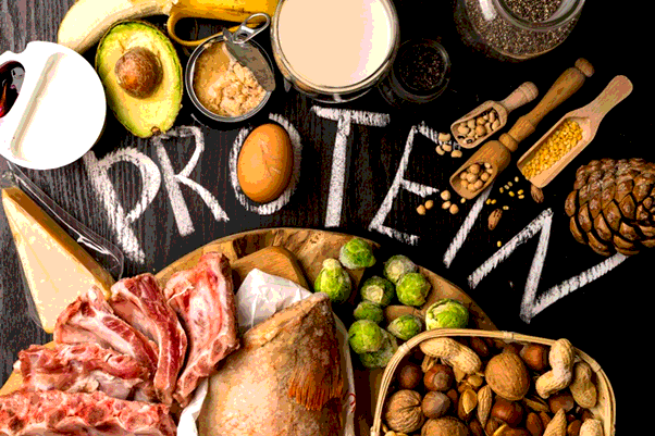 Tại sao chúng ta nên bổ sung protein cho cơ thể từ nhiều loại thức ăn khác nhau mà không nên chỉ ăn một vài loại thức ăn dù những loại đó rất bổ dưỡng?