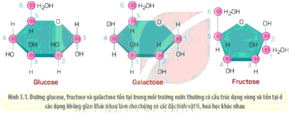 Tại sao cũng có chung công thức cấu tạo là C6H12O6, nhưng glucose và fructose lại có vị ngọt khác nhau?
