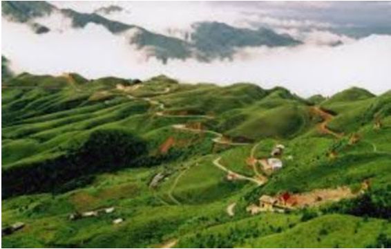 Tại sao nói đồi núi là bộ phận quan trọng nhất của cấu trúc địa hình Việt Nam?