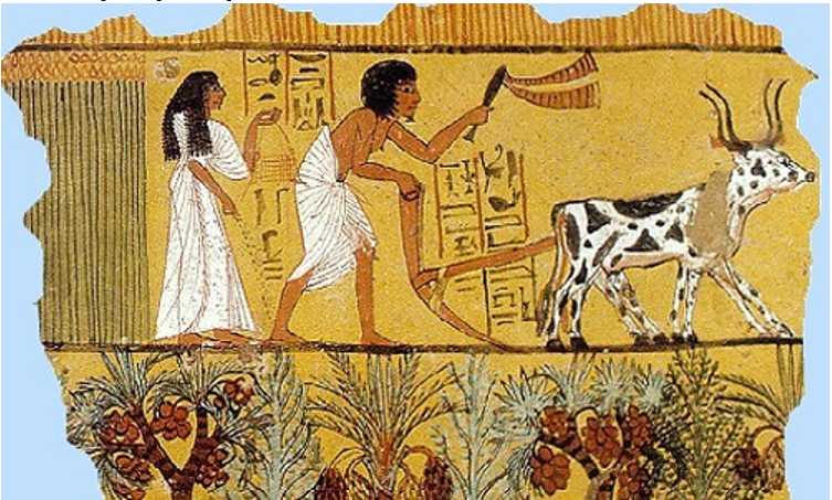 [CHUẨN NHẤT] Tại sao nói văn minh phương đông là văn minh nông nghiệp