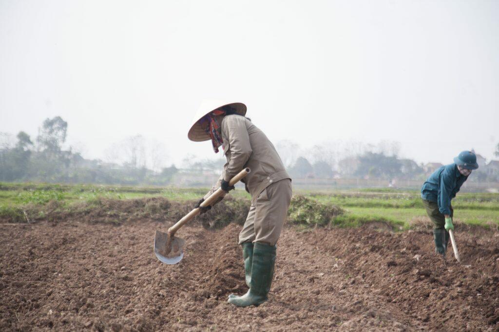 Tại sao phải cải tạo đất?  Kể tên một số phương pháp cải tạo đất.