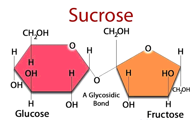 th-nh-ph-n-c-u-t-o-c-a-sucrose-saccharose-sucrose-c-h-nh-th-nh