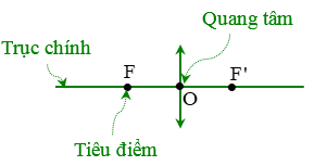 [CHUẨN NHẤT] Thấu kính là gì, Cấu tạo các loại thấu kính (ảnh 4)