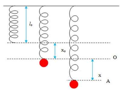 [CHUẨN NHẤT] Thế năng là gì, công thức tính thế năng đàn hồi, trọng trường (ảnh 2)