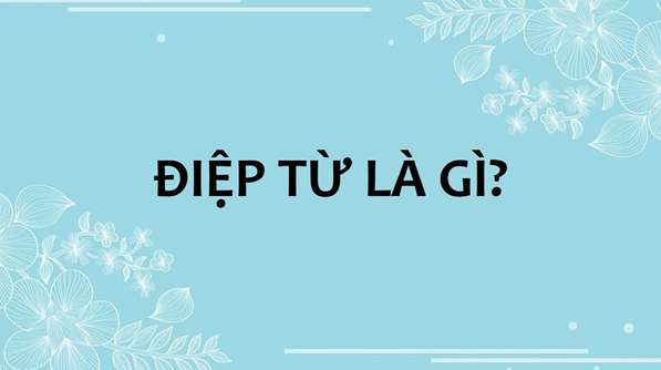 Thế nào là Điệp từ, điệp ngữ?