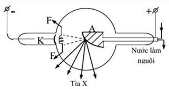 [CHUẨN NHẤT] Theo thuyết lượng tử ánh sáng, phát biểu nào sau đây là sai? (ảnh 5)