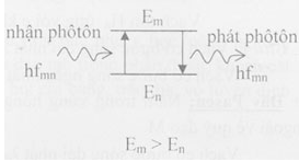 Theo thuyết lượng tử ánh sáng thì năng lượng của (ảnh 3)
