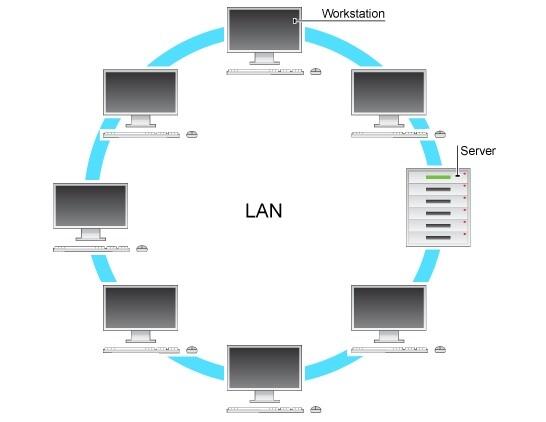 Các thành phần cấu tạo cơ bản của một mạng LAN là gì?
