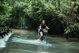 Thuyết minh về danh lam thắng cảnh rừng nguyên sinh Nam Cái Tiên ở Đồng Nai.