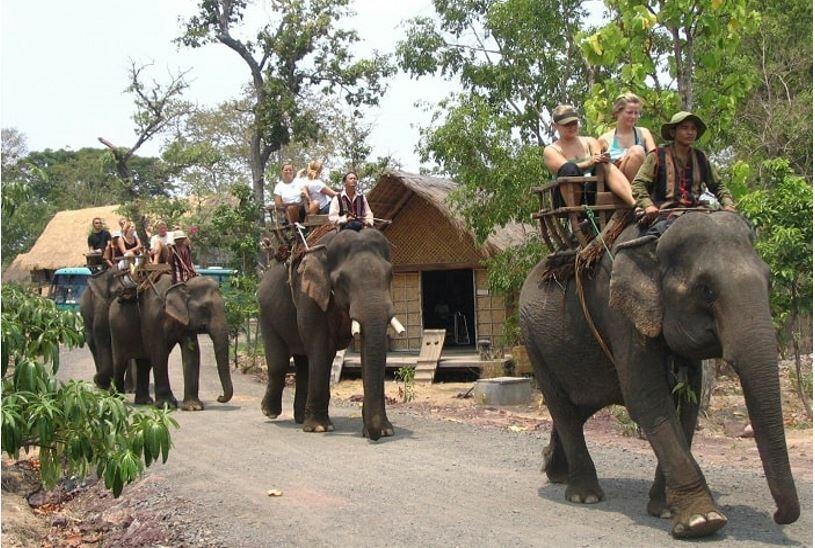 Tìm thành ngữ trái nghĩa với từng thành ngữ sau: Khỏe như voi, Nhanh như sóc