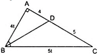 Tính chất đường phân giác trong tam giác vuông (ảnh 6)