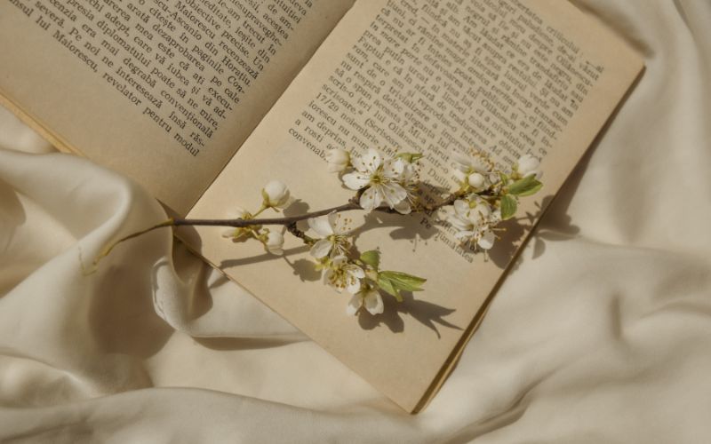 Tóm tắt Bài ca ngất ngưởng ngắn nhất