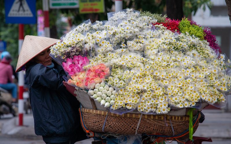 Tóm tắt Cung đường của kí ức, hiện tại và tương lai ngắn nhất