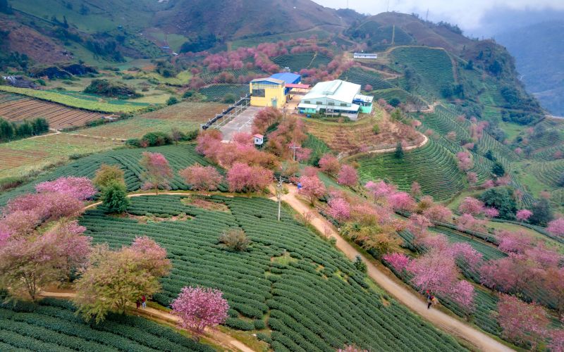 Tóm tắt Lặng lẽ Sapa ngắn nhất