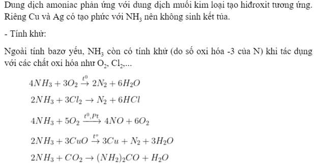 Tóm tắt lý thuyết Chương 2 Hóa học 11: Nitơ- Photpho (hình 8)