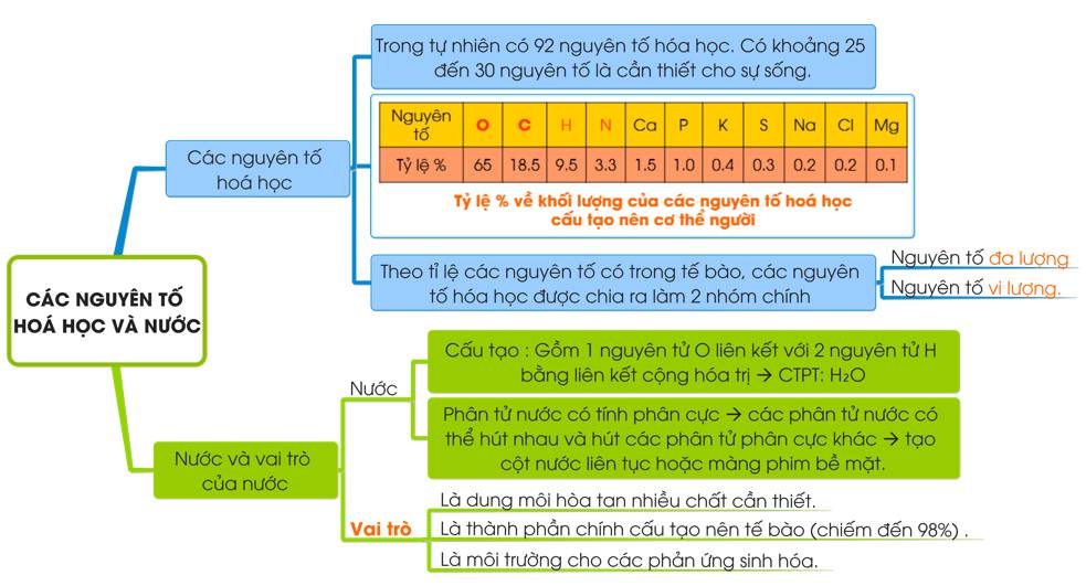 Sơ đồ tư duy Sinh học 10 Bài 3 (Lý thuyết + Trắc nghiệm) - Đại Học ...