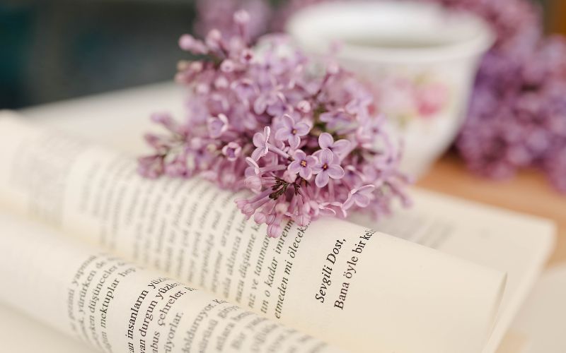 Tóm tắt Pa-ra-lim-pích: Một lịch sử chữa lành những vết thương ngắn nhất