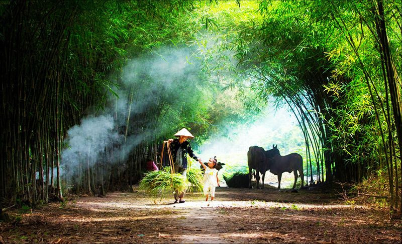 Tóm tắt truyện ngắn Quê hương của Đào Quốc Thịnh 