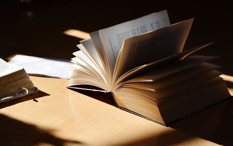 Tóm tắt Xuân Tóc Đỏ cứu quốc ngắn nhất