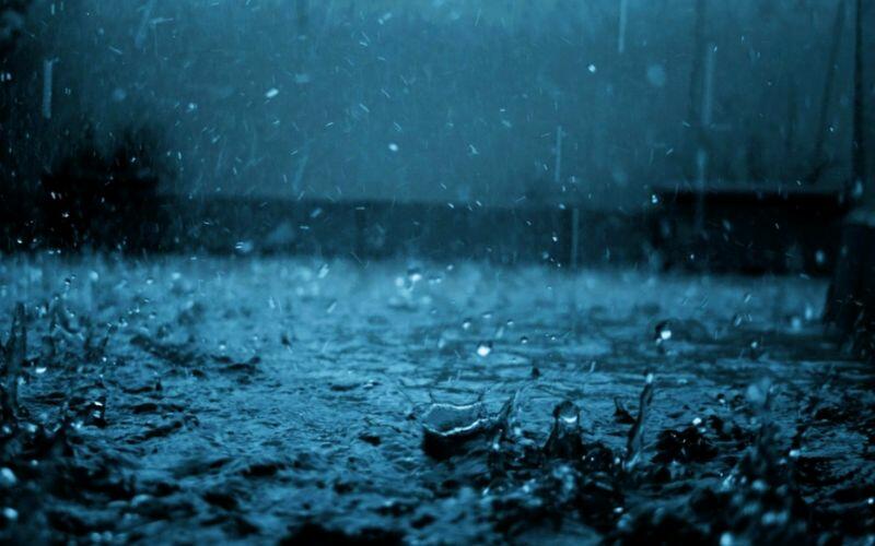 Đọc hiểu Đợi mưa trên đảo sinh tồn