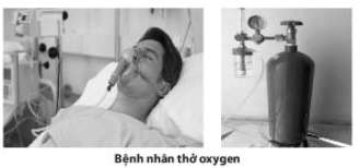 Trắc nghiệm KHTN 6 Bài 9: Oxygen