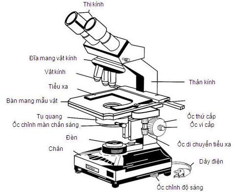 Trình bày các bước sử dụng kính hiển vi