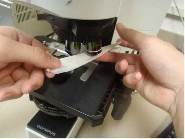 Trình bày các bước sử dụng kính hiển vi (ảnh 6)
