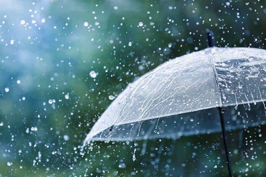 Trình bày suy nghĩ của em về lợi ích của mưa đối với sự sống trên trái đất