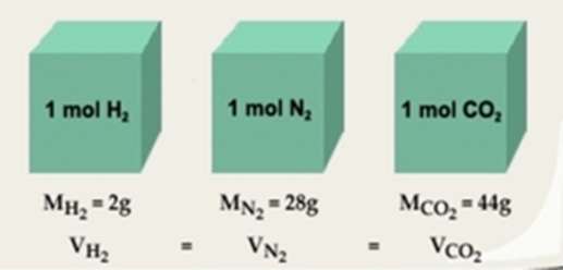 Trong 1 mol CO2 có bao nhiêu nguyên tử? (ảnh 3)