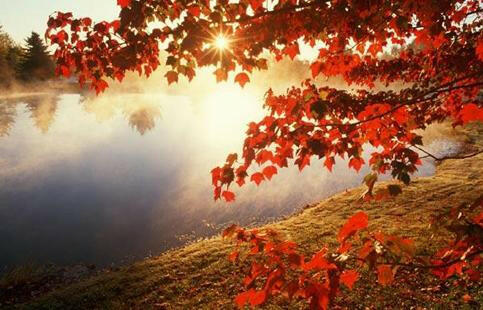 Trong hình dung của bạn, bức tranh mùa thu có những hình ảnh, sắc màu, đường nét đặc trưng nào?