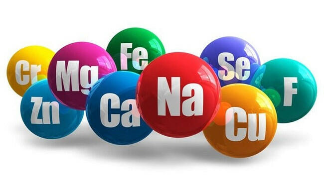 Trong tế bào, các nguyên tố C, H, O, N chiếm tỉ lệ bao nhiêu?