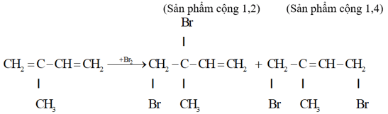 Quá trình trùng hợp isopren tạo ra cao su isopren với cấu trúc (ảnh 4)